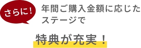 さらに年間ご購入金額に応じたステージで特典が充実！