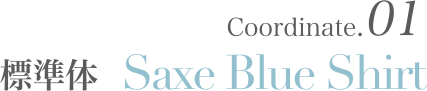 Saxe Blue Shirt