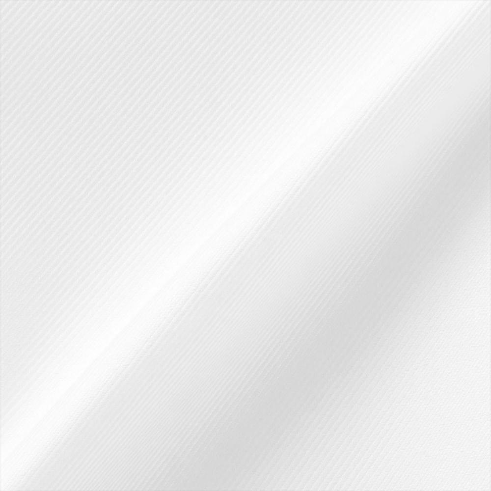 【超形態安定】 レギュラー 長袖 形態安定 綿100% レディースシャツ