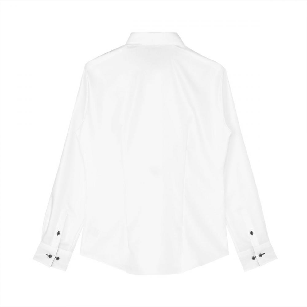 【超形態安定】 レギュラー 長袖 形態安定 綿100% レディースシャツ