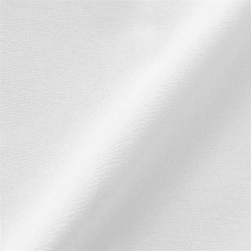 【透け防止】 スキッパー 長袖 形態安定 レディースシャツ