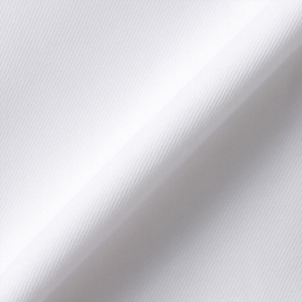【透け防止】 スキッパー 長袖 形態安定 レディースシャツ