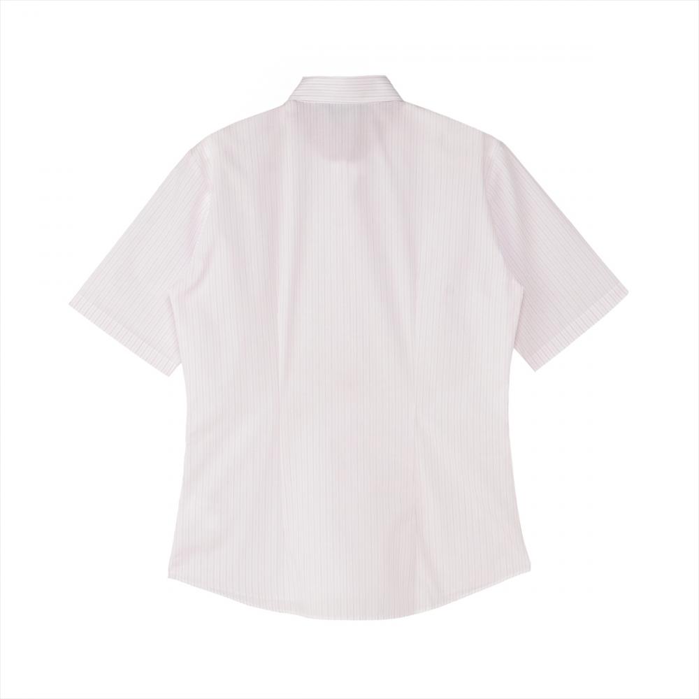 【吸水速乾】 ワイド 五分袖 形態安定 レディースシャツ